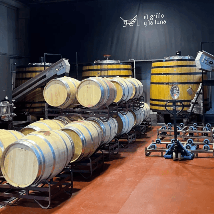 GRILLADOS<BR> ENTRE BARRICAS Y VACAS - Imagen 4 GRILLADOS<BR> ENTRE BARRICAS Y VACAS - Imagen 4